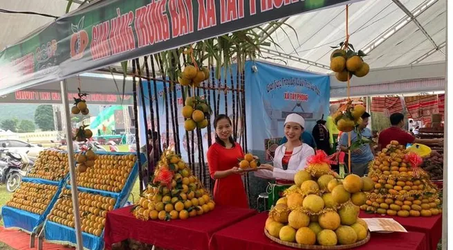 Hoa Binh promotes image of Cao Phong oranges