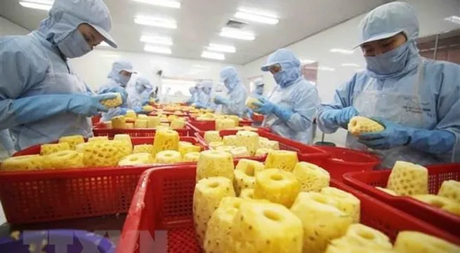 Vietnamese firms making relatively good use of EVFTA: survey