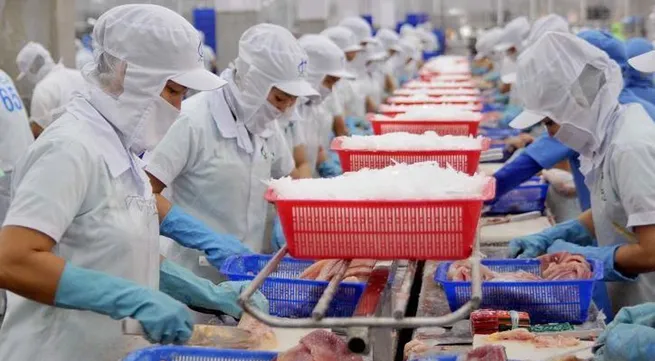 Over 90% of Tra fish on sale in US are from Vietnam
