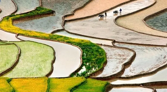 HCM City association to host first international photography fest