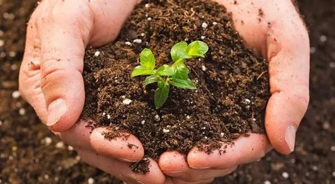 Agricultural sector aims to raise organic fertilizer proportion to 25% in 2025