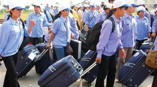 More attention needed to ensure rights of Vietnamese workers abroad