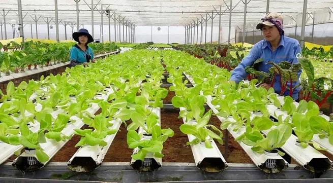 Hanoi agricultural fair 2022 to open on March 7