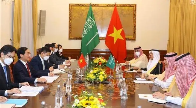 Foreign Minister Bui Thanh Son holds talks with Saudi Arabian counterpart