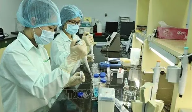 Vietnam to receive mRNA vaccine technology transfer from WHO training hub