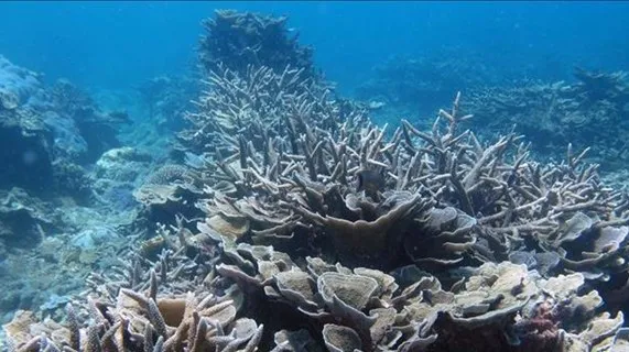 National biodiversity strategy to 2030 approved