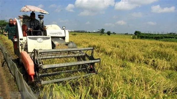 Vietnam shares experience in poverty reduction, crisis settlement at UN CSocD session