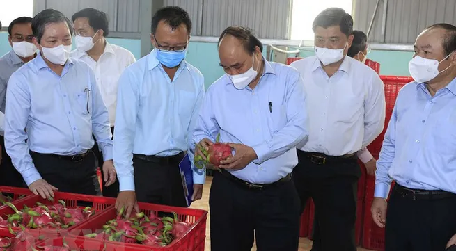 Collective economy in Tien Giang province developing diversely: President