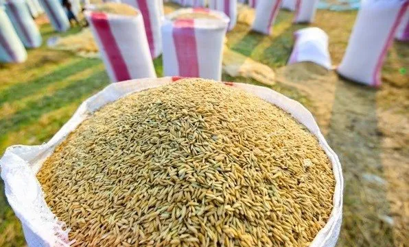 Tariff quotas for rice, dried tobacco imported from Cambodia announced