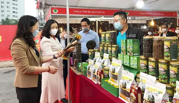 Hanoi to roll out major trade promotions this year