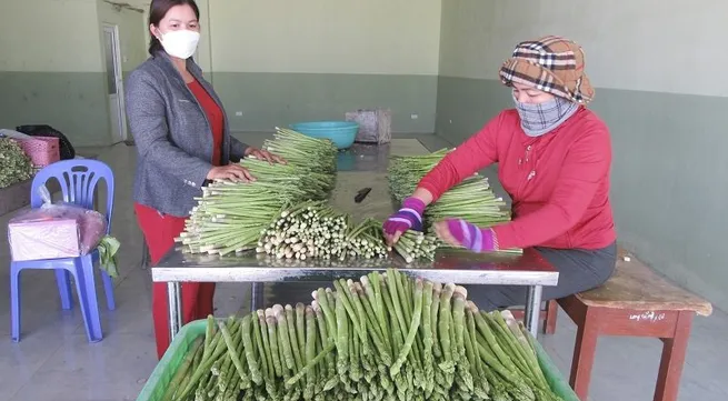 Ninh Thuan to spend nearly 32 million USD on poverty reduction