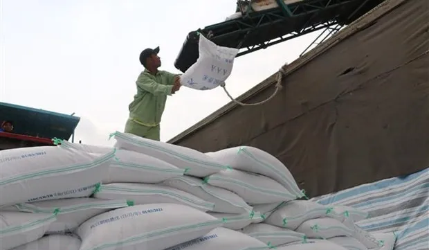 Vietnam’s rice export turnover up 10.5 percent in Q1