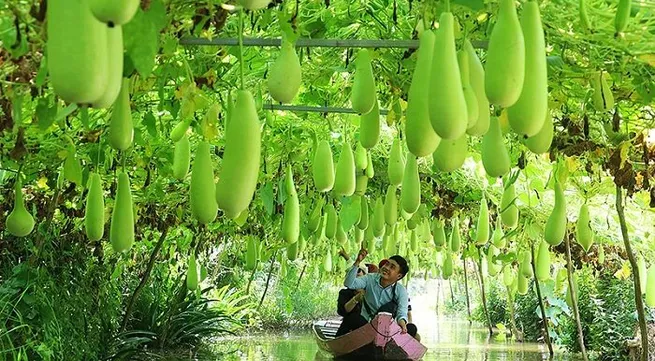 Rural tourism: An encouraging trend for Vietnam’s hospitality sector