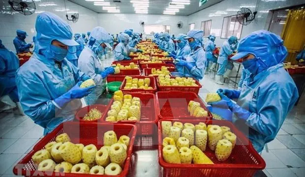 Veggie, fruit exports changing markets