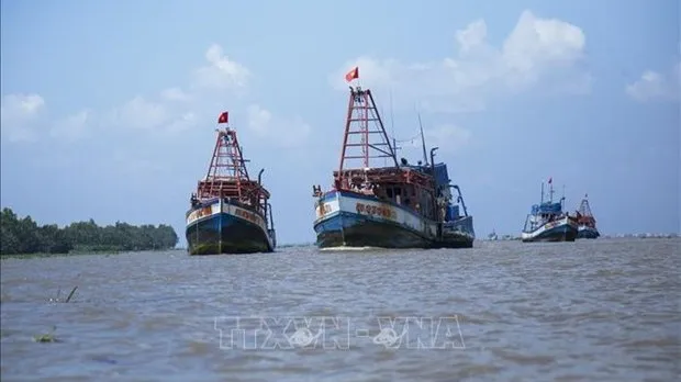 Kien Giang records no IUU violations for consecutive quarters