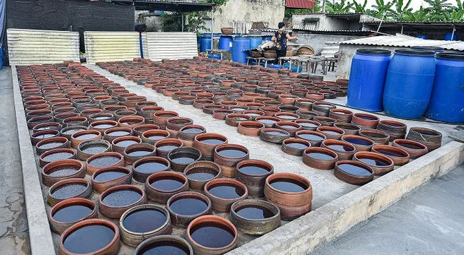 Sa Chau fish sauce - specialty condiment of Nam Dinh province