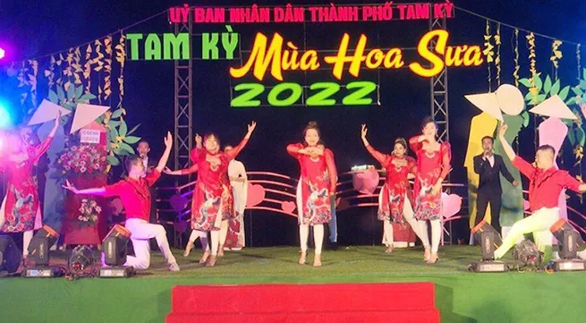 “Tam Ky - Sua flower season” festival launched in Quang Nam