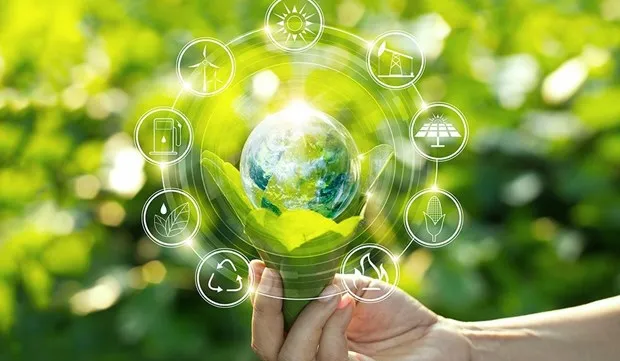 Vietnam eyes transition to green production for sustainable value