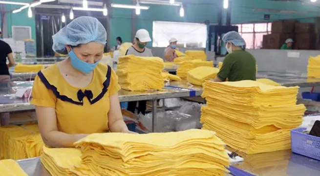 Newly opened firms mushroom during new normal