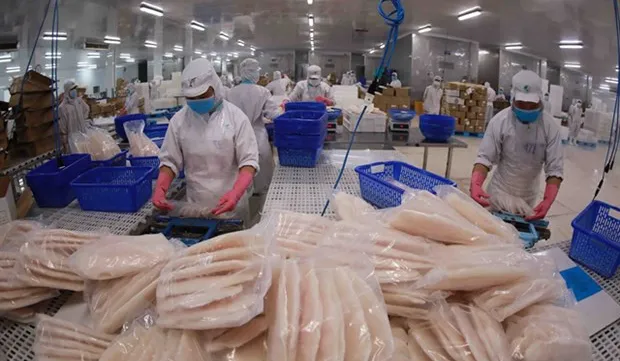 Seafood enterprises await growth opportunities