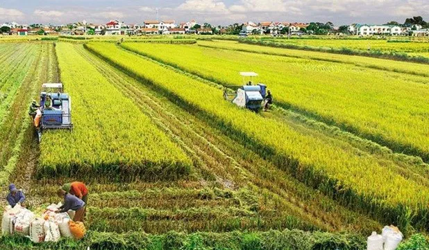 Agricultural sector ensures food security, exports
