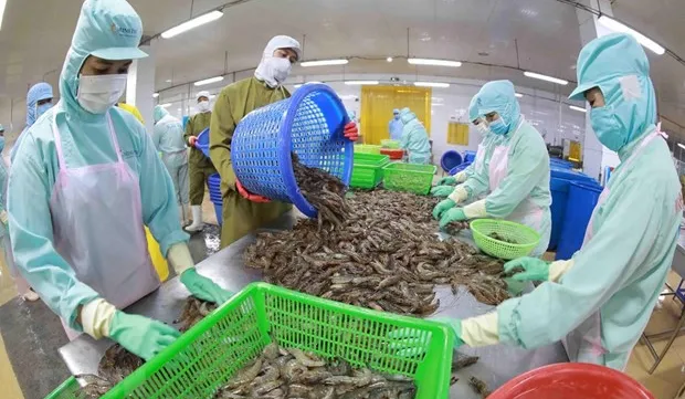 Virtual workshop seeks ways to facilitate Vietnam’s aquatic exports to RCEP markets
