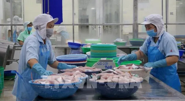 Vietnam’s aquatic product exports to China to grow this year: official