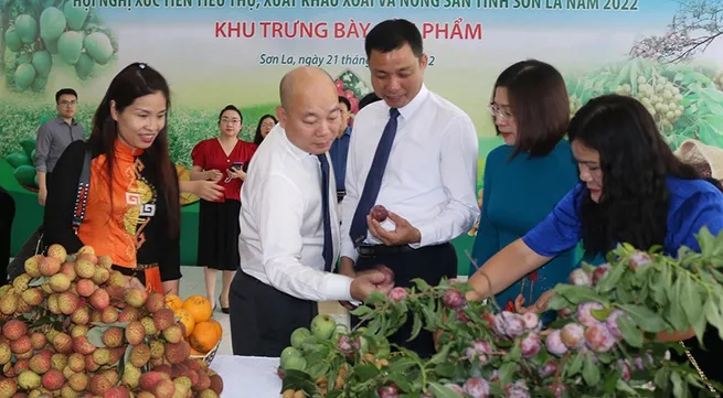 Opportunities created for domestic and foreign businesses to consume Son La agricultural products