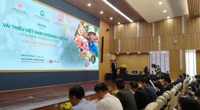 Forum seeks to promote Vietnamese lychees in global market