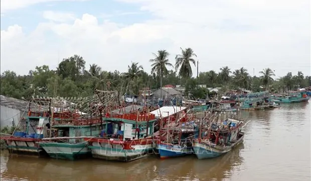 Quang Ninh makes progress to remove EC fishing 'yellow card'