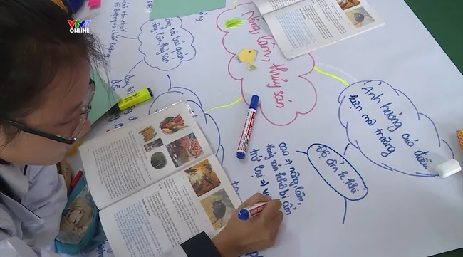 Mind Mapping of Vietnam 2022: New playground for primary school students