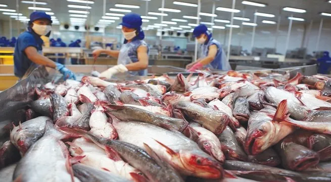 Vietnam becomes 2nd largest seafood supplier in U.S