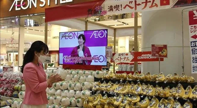 Vietnamese Goods Week underway in Japan