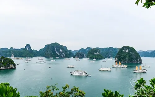 Ha Long Bay among top ten best destinations in the world