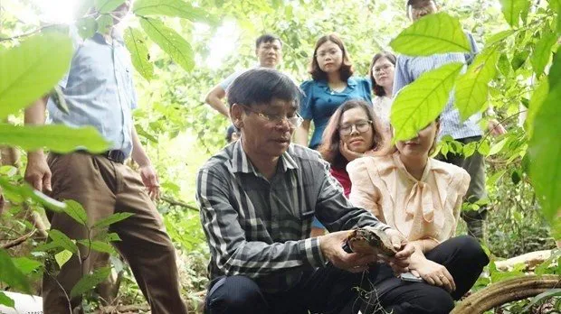 Tens of wild animals released back to nature