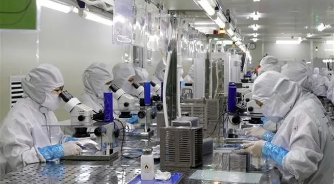 Vietnam able to become new tiger in Asia: economist