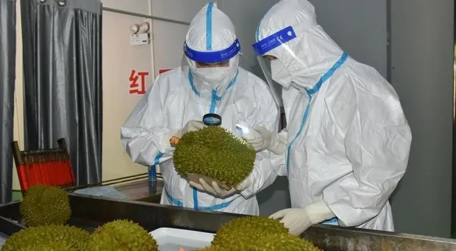 China appreciates Vietnam’s first shipment of durian