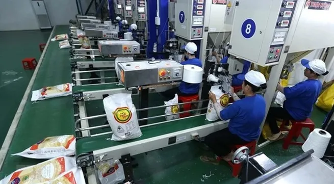 Agricultural restructuring policy contributes to rise in Vietnam’s rice prices: report