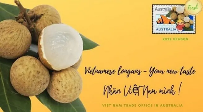 Ten tonnes of Vietnamese longan exported to Australia