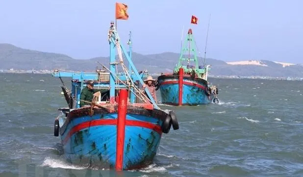 Tien Giang’s communications work on IUU fishing pays off