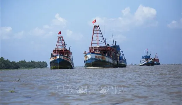 Kien Giang tackles IUU shortcomings under EC recommendations