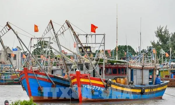 Thanh Hoa vessels possible of violating rules against IUU fishing announced