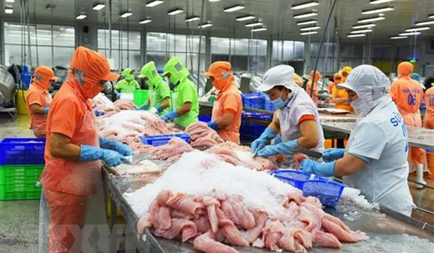 Over 90% of Tra fish on sale in US are from Vietnam