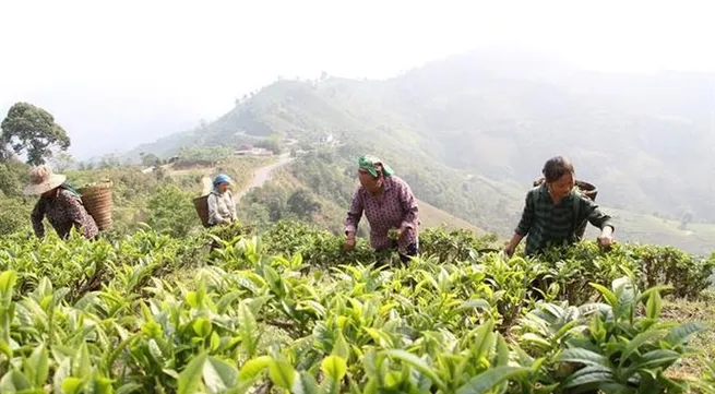 Decade-long resolution on social policies witnesses positive results