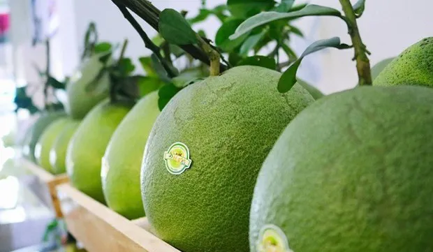 Vietnam’s first batch of fresh pomelos arrives in US