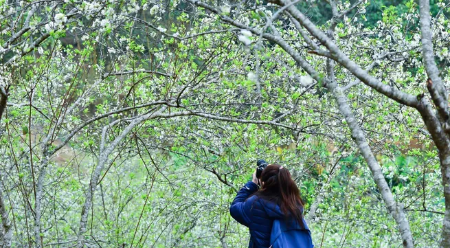 More love for Vietnam through a series of travel programs on VTV