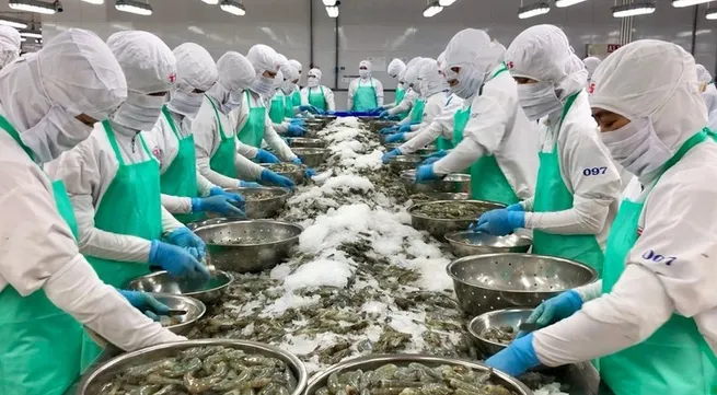 Vietnam’s key exports enter 2023 with confidence