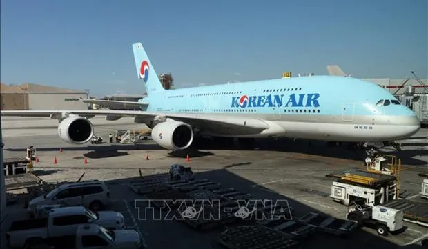 Korean Air allowed to fly to Lam Dong