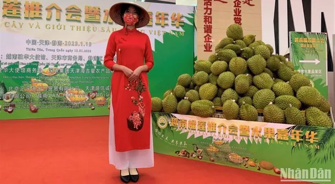 Vietnamese fruits introduced at festival in China’s Tianjin city