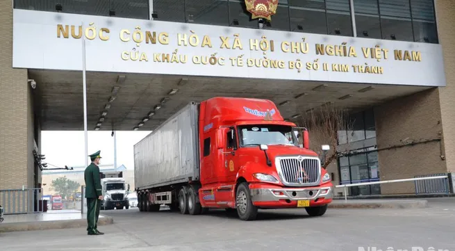 First 150 tonnes of dragon fruit exported through Kim Thanh Border Gate in Lao Cai